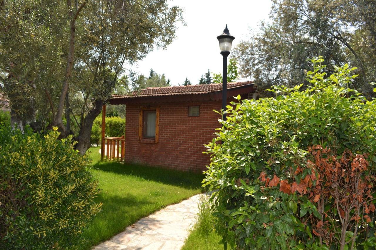 Kervan Tatil Koeyue 埃德雷米特 外观 照片