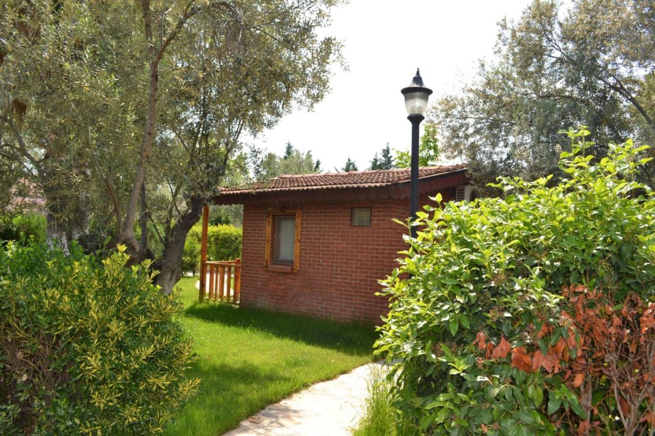 Kervan Tatil Koeyue 埃德雷米特 外观 照片