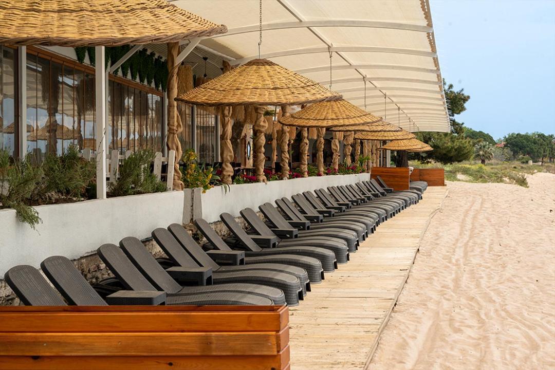 Kervan Tatil Koeyue 埃德雷米特 外观 照片